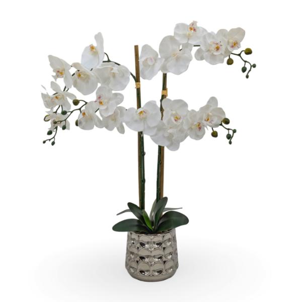 Artificial Orchids In Chrome - 71cm