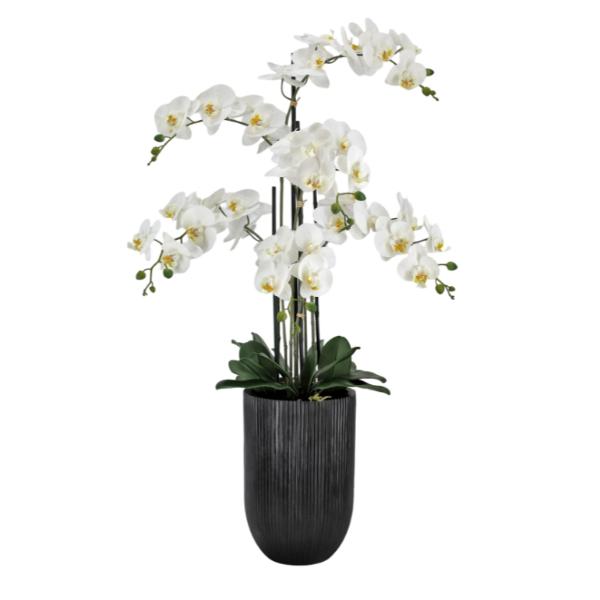 Real Touch Artificial Orchid Pot - 110cm
