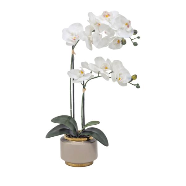 Real Touch Artificial Orchid Pot - 50cm