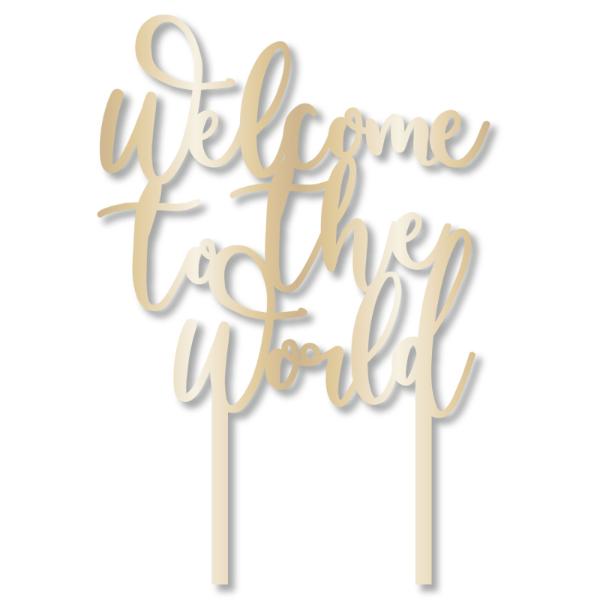 Acrylic Welcome To the World Cake Topper - 19cm