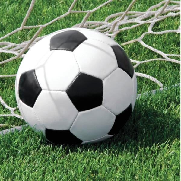16 Pack Soccer Fanatic Lunch Napkins