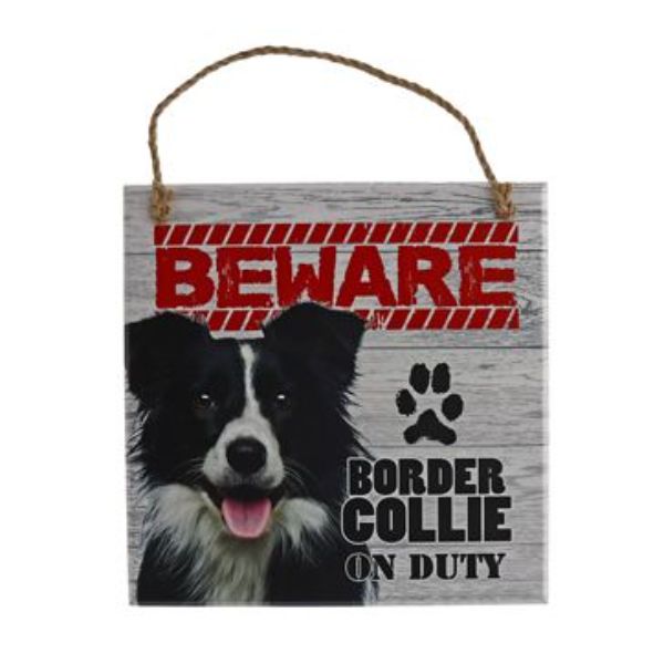 Beware Border Collie Pet Sign