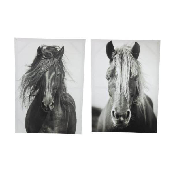 Black & White Horse Canvas Print - 50cm x 70cm