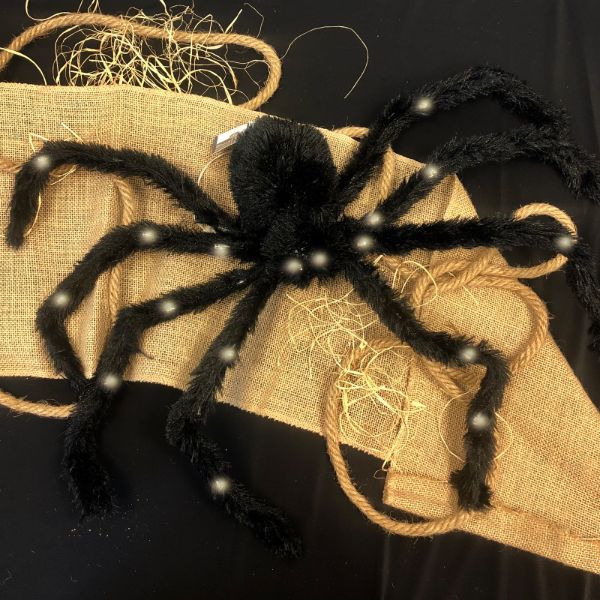 Charlotte Light Up Posible Spider - Large