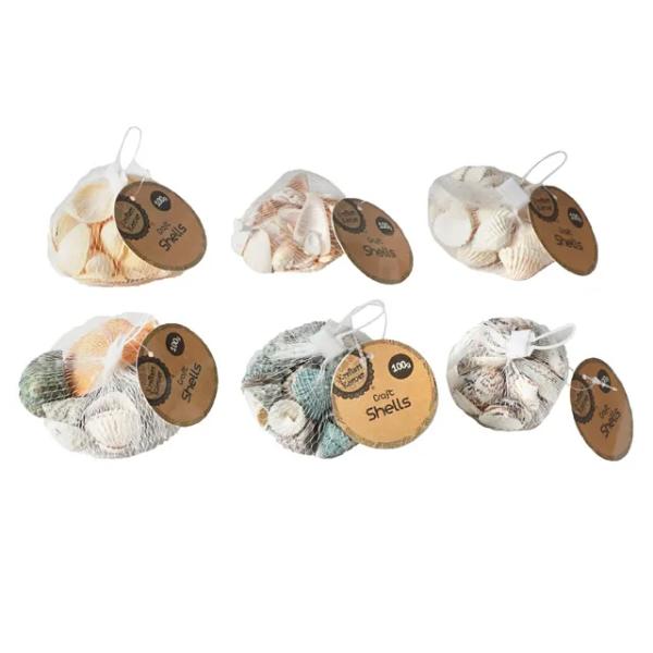 Assorted Shells - 100g