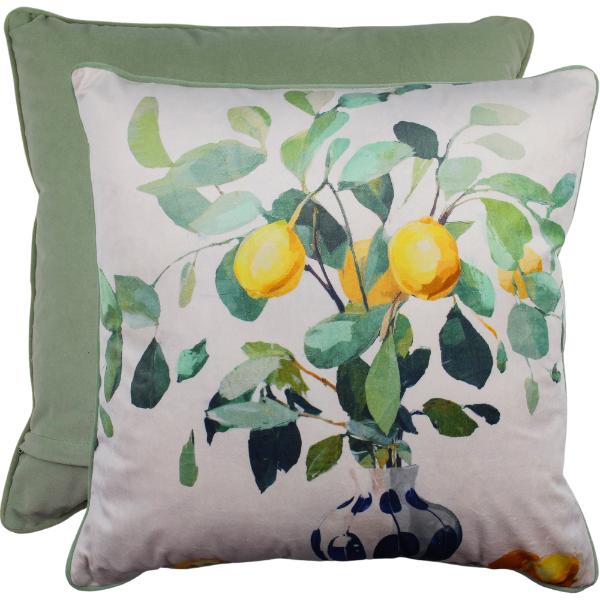 Zestful Display Velvet Cushion - 50cm x 50cm