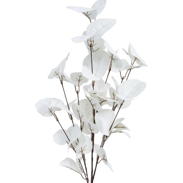 White Lyptus Leaves - 80cm