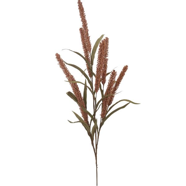 Coral Pokers Branch - 84cm