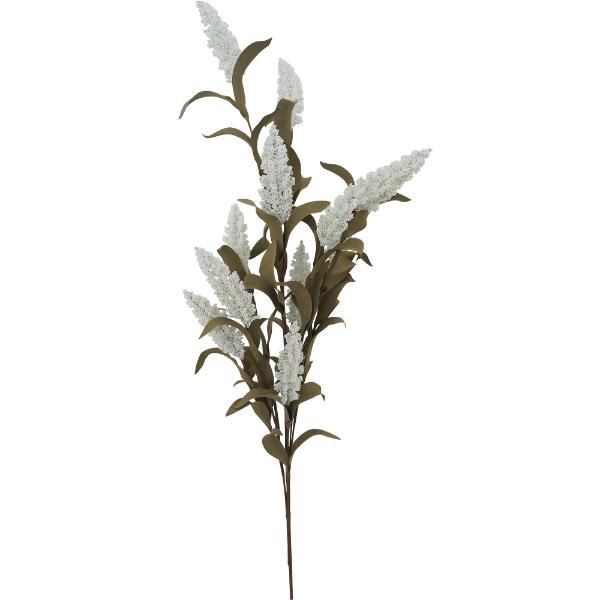 White Hakea Flower - 76cm