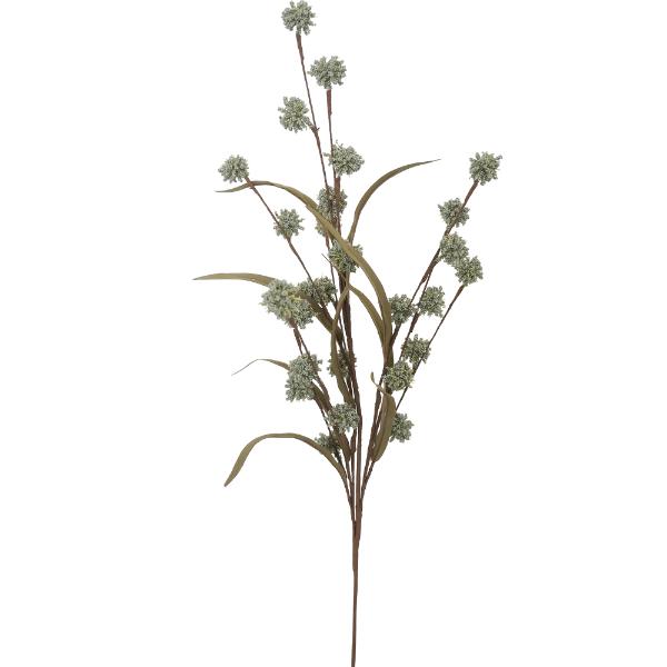 Green Carinata Flower - 75cm