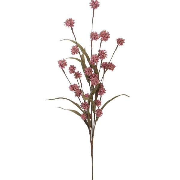 Pink Carinata Flower - 75cm