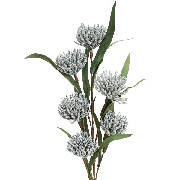 Green Spike A Daisy - 75cm