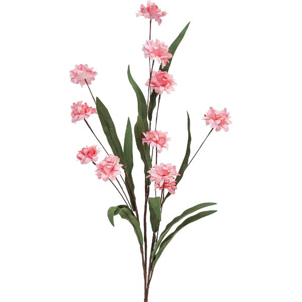 Pink Little Bloomer - 77cm