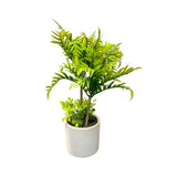 Load image into Gallery viewer, White Potted Left Plant - 40cm