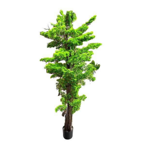 Bonsi Potted Tree - 170cm