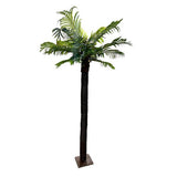 Load image into Gallery viewer, Palm Potted Tree - 250cm
