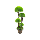 Load image into Gallery viewer, 4 Balls Bonsi Tree