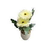 Load image into Gallery viewer, White Flower Potted Plant - 32cm