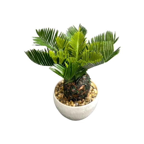 Small Palm Plant - 25cm