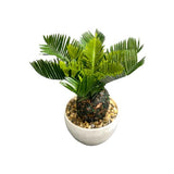 Load image into Gallery viewer, Small Palm Plant - 25cm