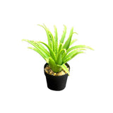 Load image into Gallery viewer, Small Aleo Potted Plant - 25cm