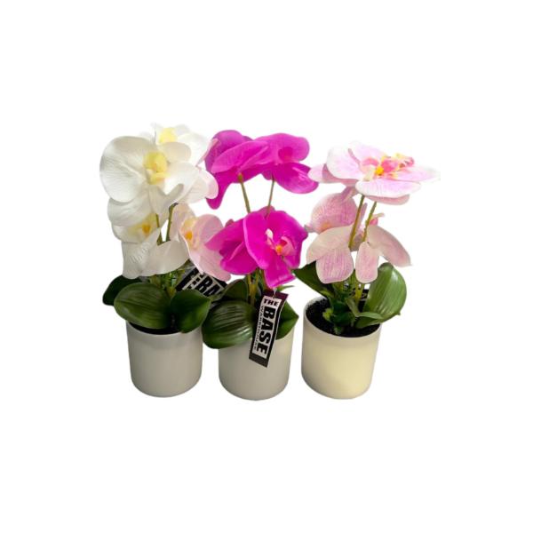 Orchid Pot - 25cm