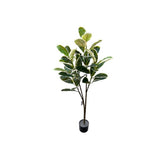 Load image into Gallery viewer, Banana Leaf Money Tree - 145cm