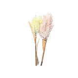 Load image into Gallery viewer, Baby Breath Branch