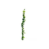 Load image into Gallery viewer, Rose Leaf Garland - 170cm