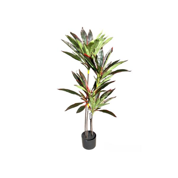 Dark Green Dracaena Potted Plant - 120cm