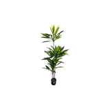 Load image into Gallery viewer, Green Dracaena Potted Plant - 150cm