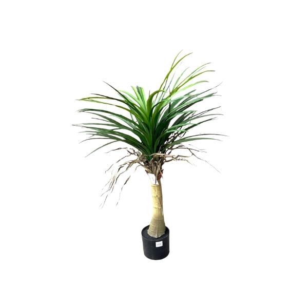 Yucca Potted Plant - 90cm