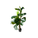 Load image into Gallery viewer, Fiddle Leaf Fig Potted Plant - 120cm
