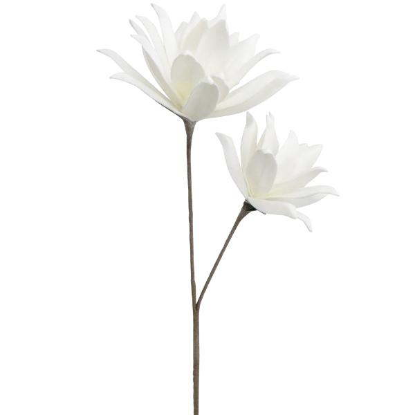 White Crown Flower - 80cm