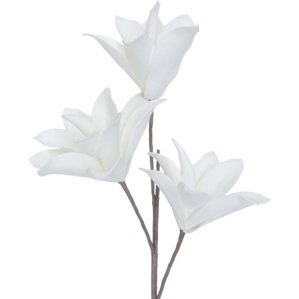 White Petal Pizzicato - 80cm x 57cm