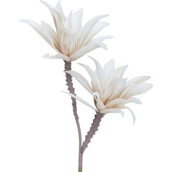 Cream Blossom Breeze - 80cm x 45cm