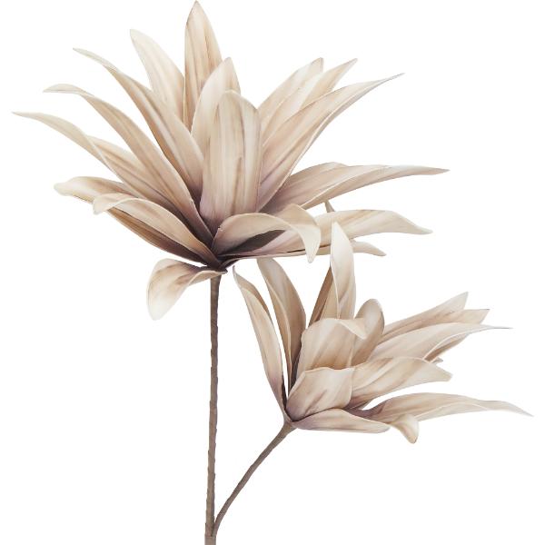 Beige Lil Bloomin Breeze - 80cm x 49cm
