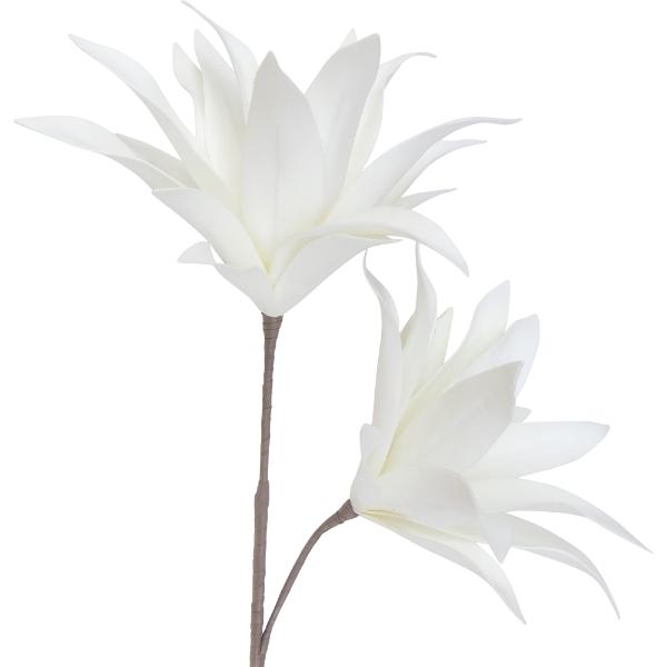 White Lil Bloomin Breeze - 80cm x 49cm