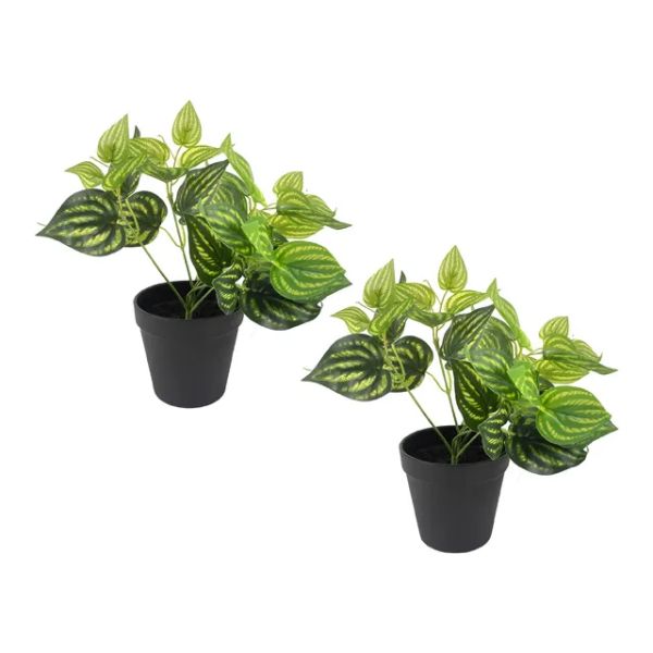 28CM DIEFFENBACHIA LEAVES