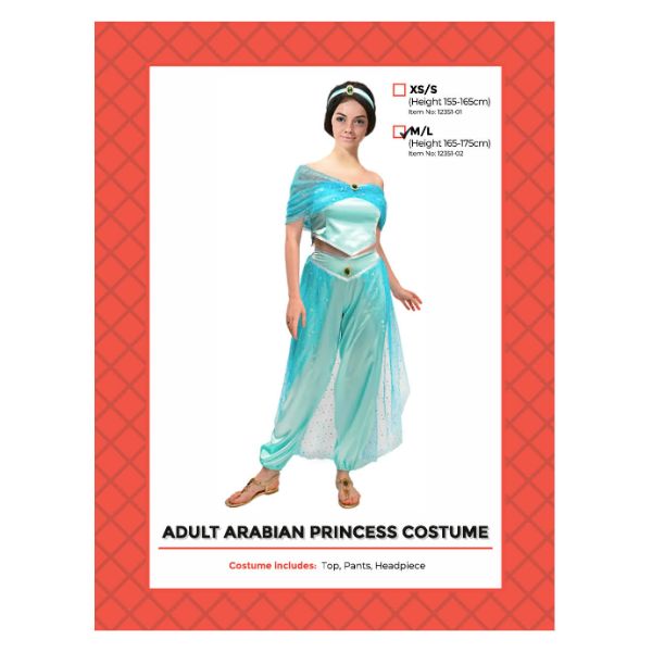 Adult Arabian Princess Costume - Medium - Large