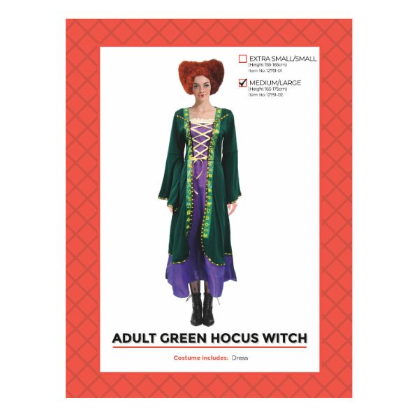 Adult Green Hocus Witch Costume - Medium - Large