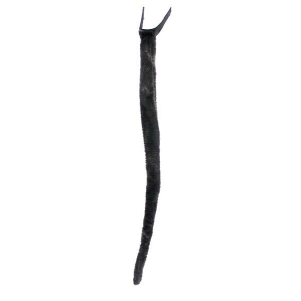 Black Tail