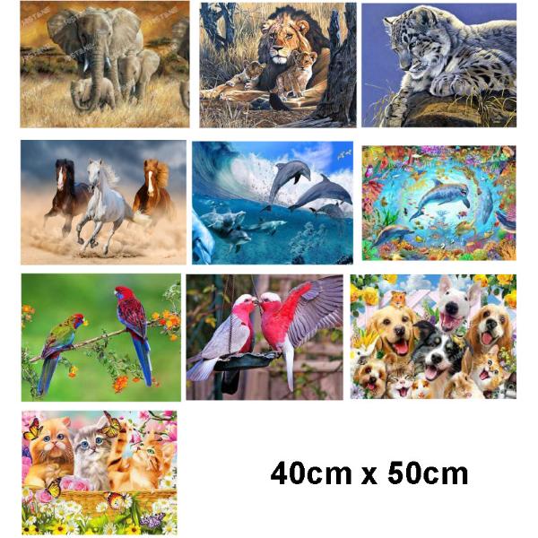 Assorted Full Drill Canvas Diamond Art - 40cm x 50cm