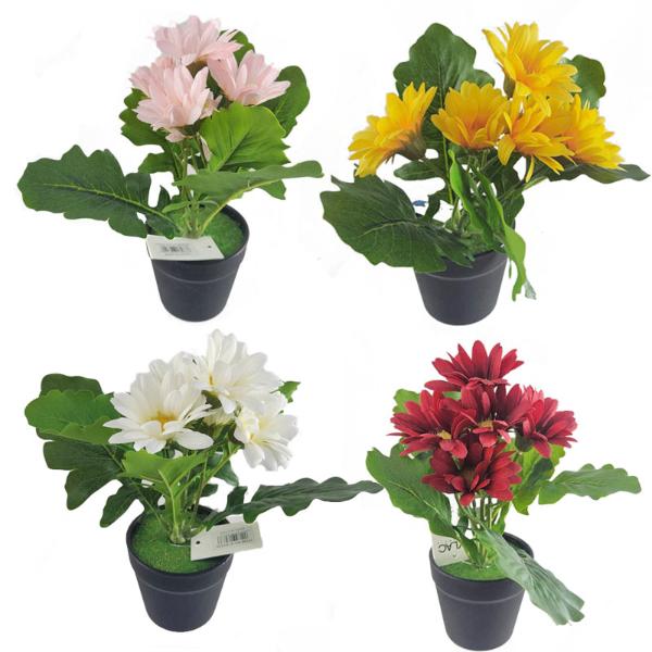 Gebra Flower Pot - 20cm