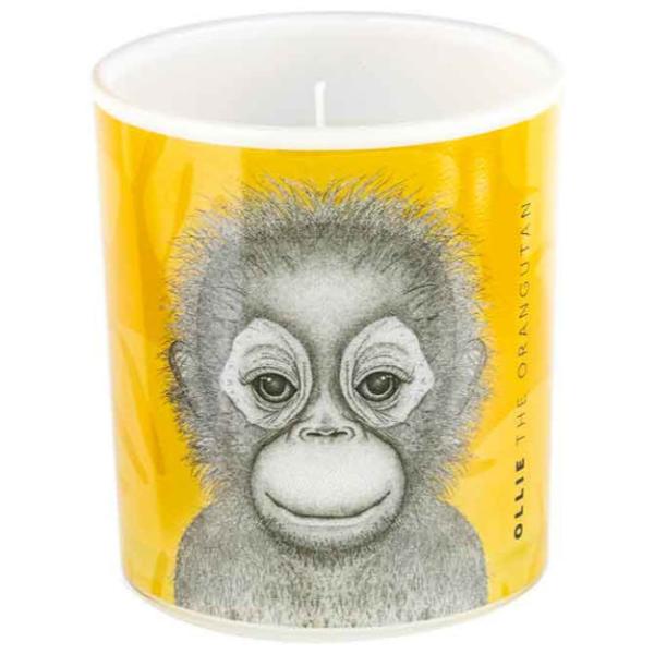 Ollie The Orangutan Candle - 10cm x 12.5cm