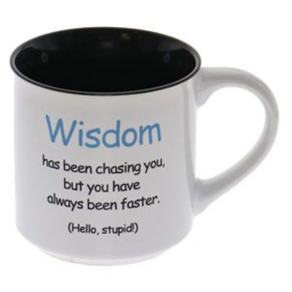 Wisdom Mug - 250ml