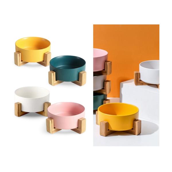 Coloured Ceramic Pet Bowl With Stand - 20cm x 9cm