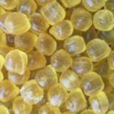Load image into Gallery viewer, Eucalyptus & Menthol Drops Rock Candy - 170g