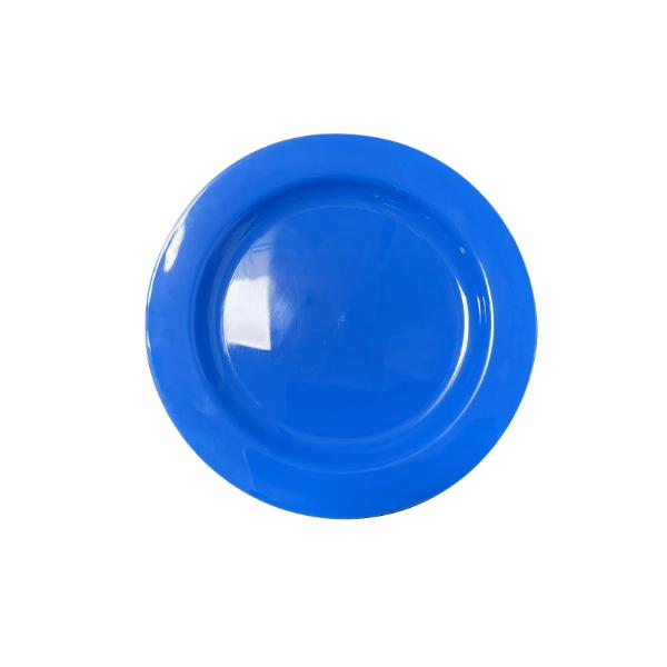10 Pack Blue Reusable Dinner Plate - 23cm