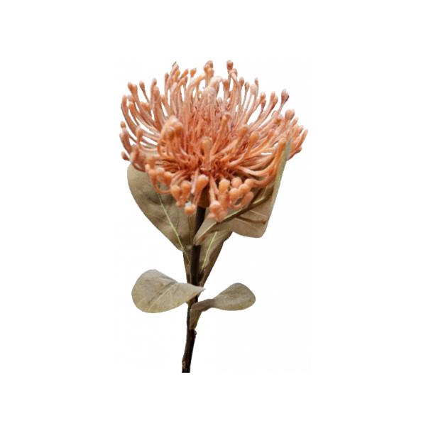 Peach Plastic Leucospermum - 13cm x 53cm x 13cm